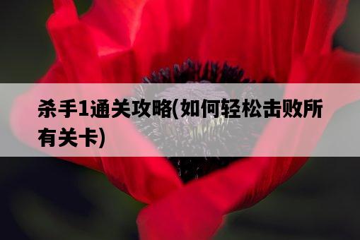 殺手1通關攻略,如何輕松擊敗所有關卡-圖1 殺手1通關攻略,如何輕松擊敗所有關卡-圖1