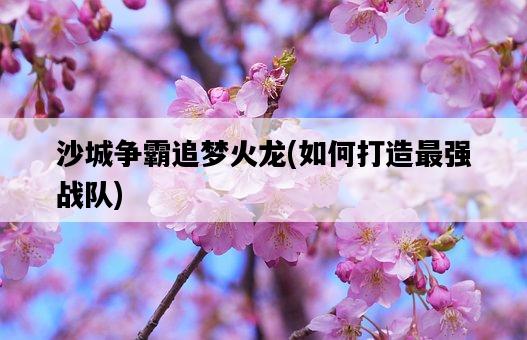 沙城爭霸追夢火龍，如何打造最強戰隊-圖1