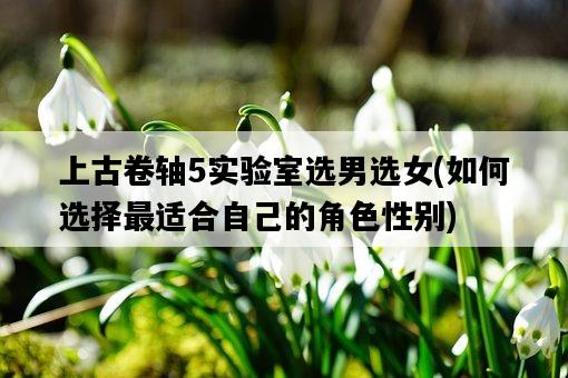 上古卷軸5實驗室選男選女，如何選擇最適合自己的角色性別-圖1
