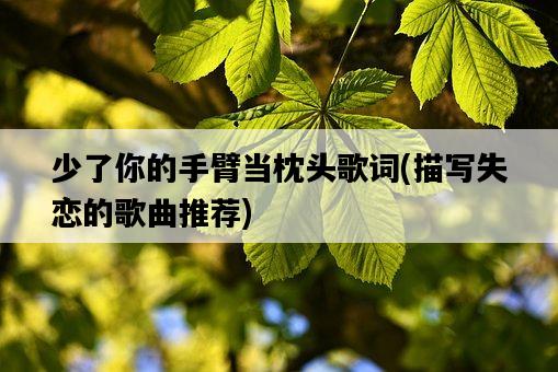 少了你的手臂當枕頭歌詞，描寫失戀的歌曲推薦-圖1