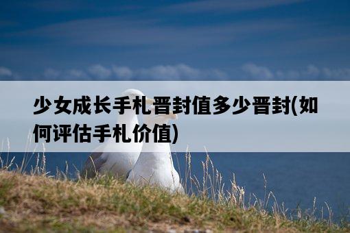 少女成長手札晉封值多少晉封，如何評估手札價值-圖1