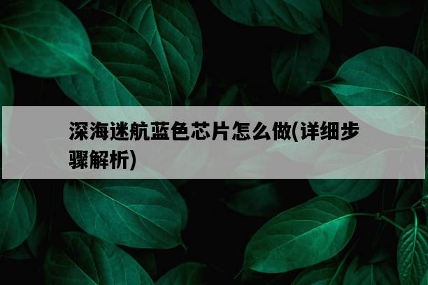 深海迷航藍色芯片怎么做，詳細步驟解析-圖1