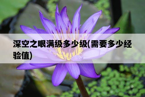 深空之眼滿級多少級,需要多少經驗值-圖1 深空之眼滿級多少級,需要多少經驗值-圖1