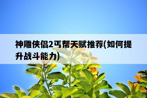 神雕俠侶2丐幫天賦推薦，如何提升戰斗能力-圖1