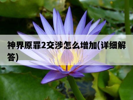 神界原罪2交涉怎么增加，詳細解答-圖1