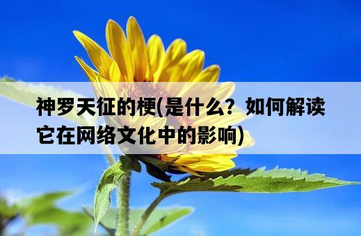 神羅天征的梗，是什么？如何解讀它在網絡文化中的影響-圖1