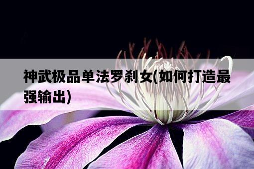 神武極品單法羅剎女,如何打造最強輸出-圖1 神武極品單法羅剎女,如何打造最強輸出-圖1