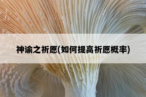 神諭之祈愿，如何提高祈愿概率-圖1