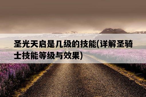圣光天啟是幾級的技能，詳解圣騎士技能等級與效果-圖1