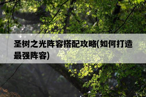 圣樹之光陣容搭配攻略，如何打造最強陣容-圖1