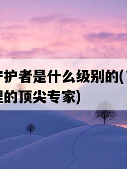 時間守護者是什么級別的，了解時間管理的頂尖專家-圖1