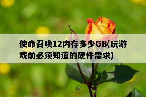 使命召喚12內存多少GB，玩游戲前必須知道的硬件需求-圖1