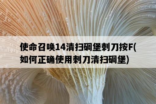使命召喚14清掃碉堡刺刀按F，如何正確使用刺刀清掃碉堡-圖1
