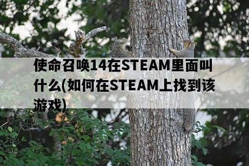 使命召喚14在STEAM里面叫什么，如何在STEAM上找到該游戲-圖1