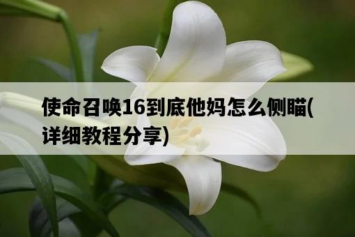 使命召喚16到底他媽怎么側瞄，詳細教程分享-圖1