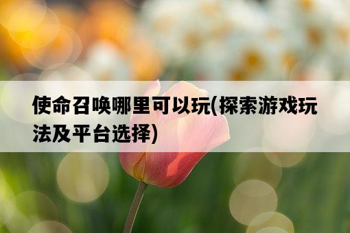 使命召喚哪里可以玩，探索游戲玩法及平臺選擇-圖1