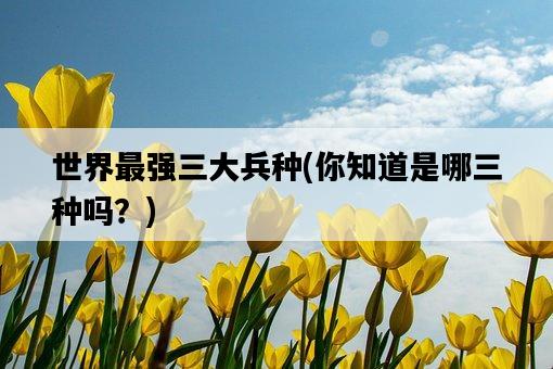 世界最強三大兵種，你知道是哪三種嗎？-圖1