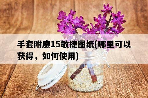 手套附魔15敏捷圖紙，哪里可以獲得，如何使用-圖1