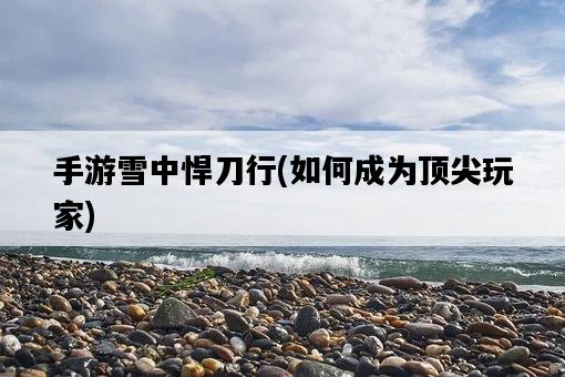 手游雪中悍刀行，如何成為頂尖玩家-圖1