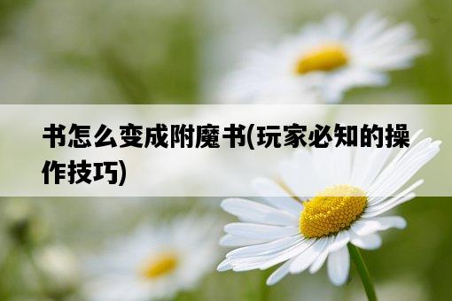 書怎么變成附魔書，玩家必知的操作技巧-圖1