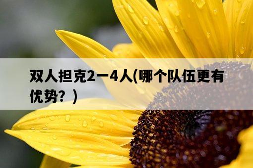 雙人擔克2一4人，哪個隊伍更有優勢？-圖1