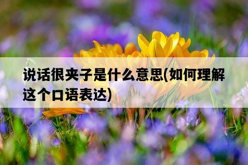 說話很夾子是什么意思，如何理解這個口語表達-圖1