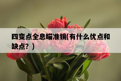 四變點全息瞄準鏡,有什么優點和缺點?-圖1 四變點全息瞄準鏡,有什么優點和缺點?-圖1