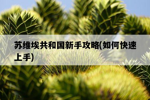 蘇維埃共和國新手攻略，如何快速上手-圖1