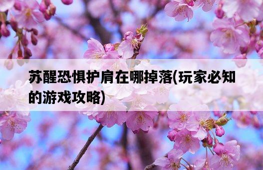 蘇醒恐懼護肩在哪掉落，玩家必知的游戲攻略-圖1