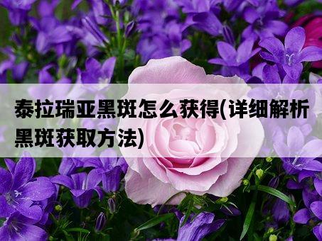 泰拉瑞亞黑斑怎么獲得，詳細解析黑斑獲取方法-圖1