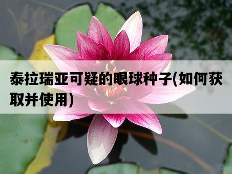 泰拉瑞亞可疑的眼球種子，如何獲取并使用-圖1
