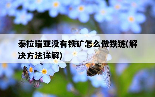 泰拉瑞亞沒有鐵礦怎么做鐵鏈，解決方法詳解-圖1