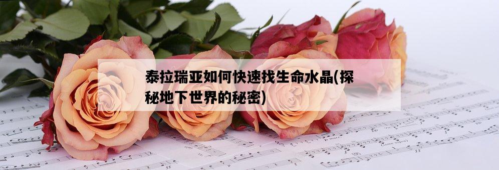 泰拉瑞亞如何快速找生命水晶,探秘地下世界的秘密-圖1 泰拉瑞亞如何快速找生命水晶,探秘地下世界的秘密-圖1