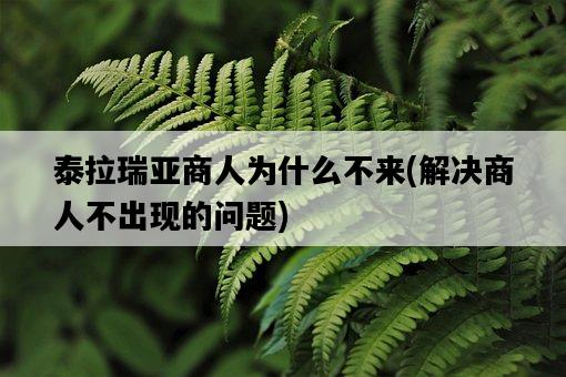 泰拉瑞亞商人為什么不來，解決商人不出現的問題-圖1