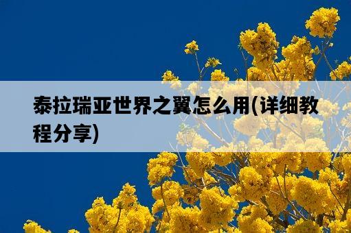 泰拉瑞亞世界之翼怎么用，詳細教程分享-圖1