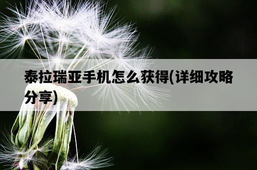 泰拉瑞亞手機怎么獲得,詳細攻略分享-圖1 泰拉瑞亞手機怎么獲得,詳細攻略分享-圖1