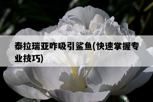 泰拉瑞亞咋吸引鯊魚，快速掌握專業技巧-圖1