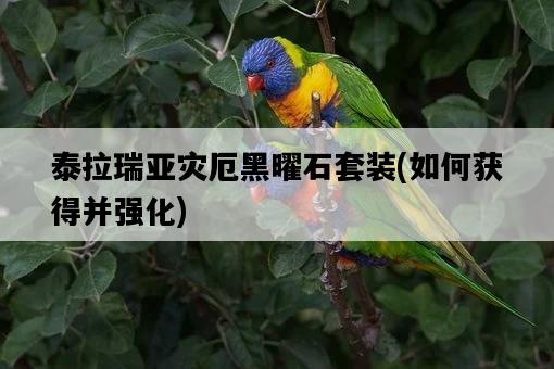 泰拉瑞亞災厄黑曜石套裝，如何獲得并強化-圖1