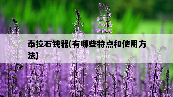 泰拉石鈍器，有哪些特點和使用方法-圖1