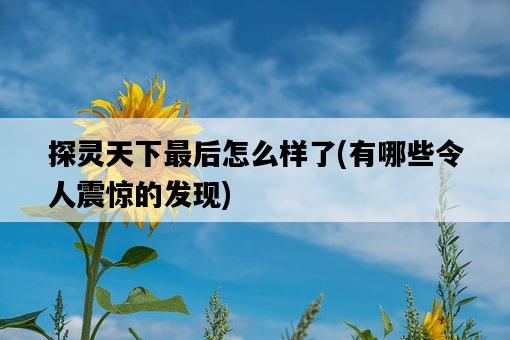 探靈天下最后怎么樣了,有哪些令人震驚的發現-圖1 探靈天下最后怎么樣了,有哪些令人震驚的發現-圖1