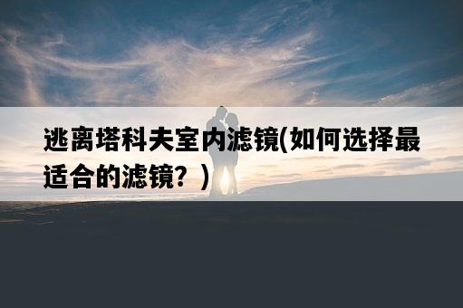 逃離塔科夫室內濾鏡，如何選擇最適合的濾鏡？-圖1