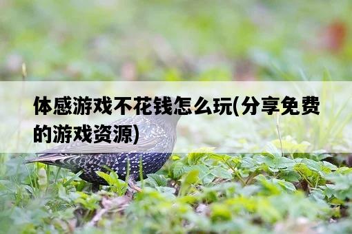 體感游戲不花錢怎么玩，分享免費的游戲資源-圖1
