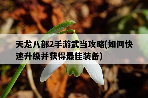 天龍八部2手游武當攻略，如何快速升級并獲得最佳裝備-圖1