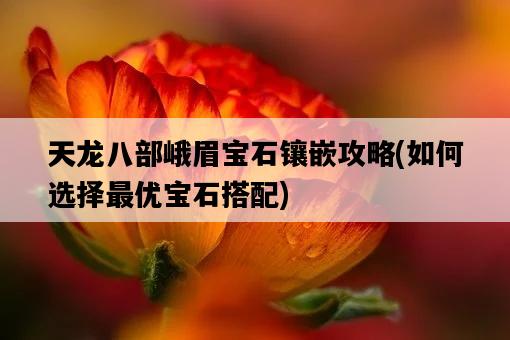 天龍八部峨眉寶石鑲嵌攻略，如何選擇最優寶石搭配-圖1