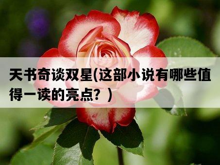 天書奇談雙星，這部小說有哪些值得一讀的亮點？-圖1