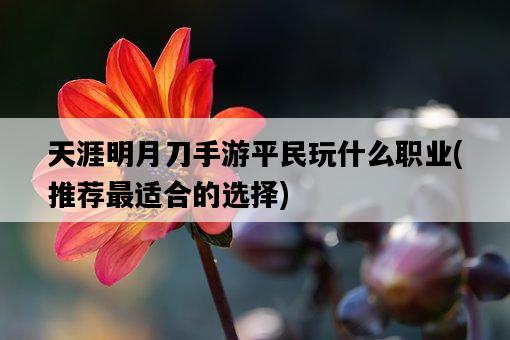 天涯明月刀手游平民玩什么職業，推薦最適合的選擇-圖1