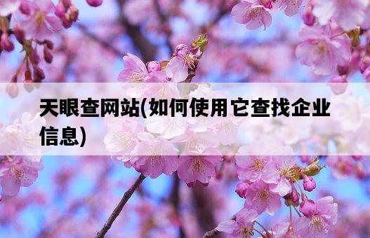 天眼查網站,如何使用它查找企業信息-圖1 天眼查網站,如何使用它查找企業信息-圖1