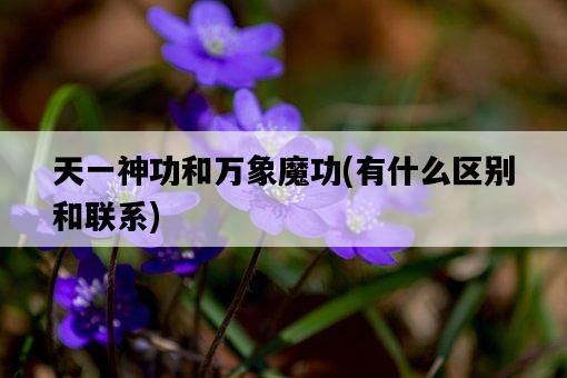 天一神功和萬象魔功，有什么區別和聯系-圖1