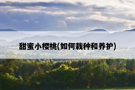 甜蜜小櫻桃，如何栽種和養護-圖1