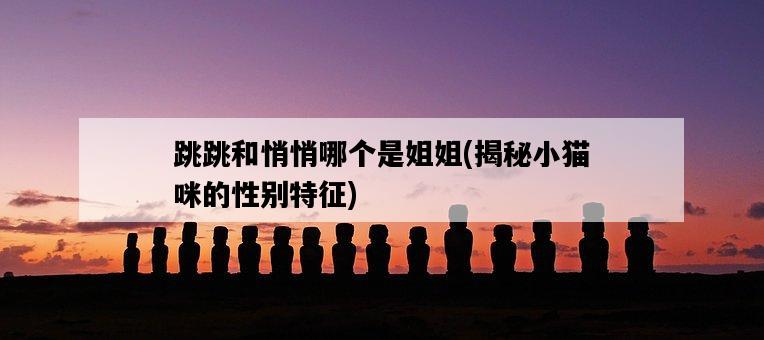 跳跳和悄悄哪個是姐姐，揭秘小貓咪的性別特征-圖1